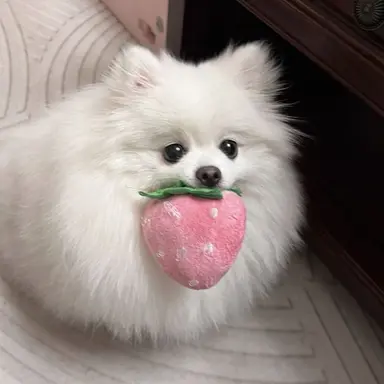 Profile image of 딸기