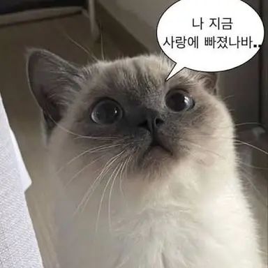 Profile image of 남자애들