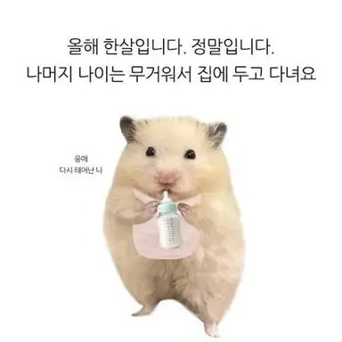 Profile image of 여자애들