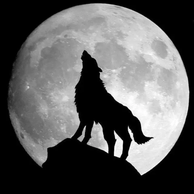 Bakugochan의 불꽃 아래의 약속