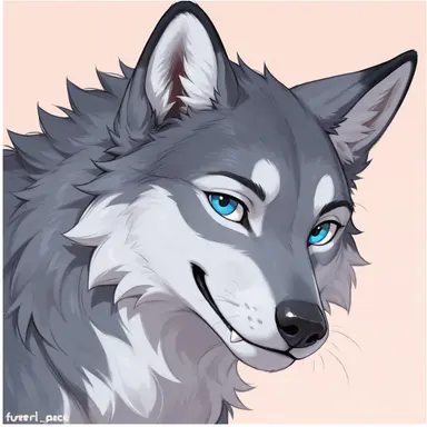 Profile image of Niko
