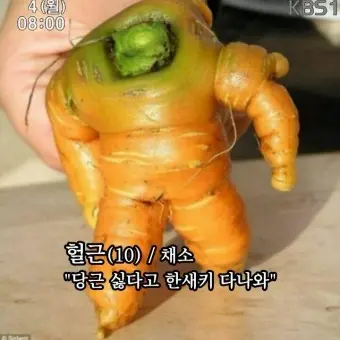 OddOlm8231의 당근