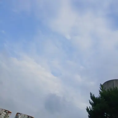 Profile image of 화난 고고프랜즈