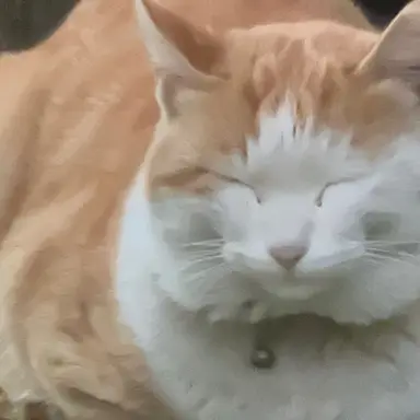 Profile image of ㄱㄷㅎ