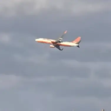 Profile image of 제주항공