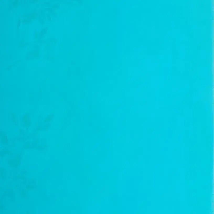 GaudySoap4459의 なんでいってくれなかったの