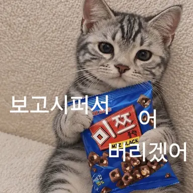 Profile image of 변백현