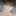 이하준