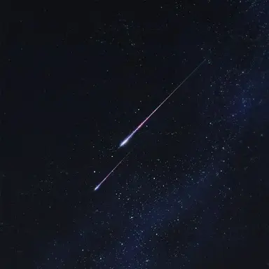 Profile image of 제임스