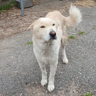 Profile image of 팀나빠