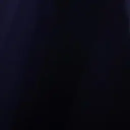 Profile image of 蓮香