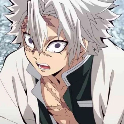 시나즈가와 사네미