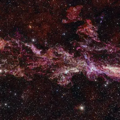 Profile image of Cemilia Larke