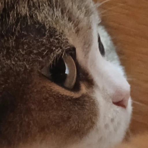 소금이