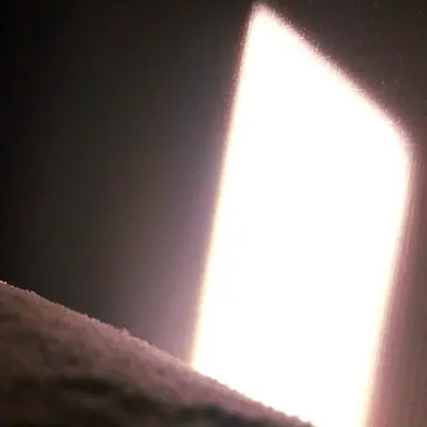 Profile image of 랫튜