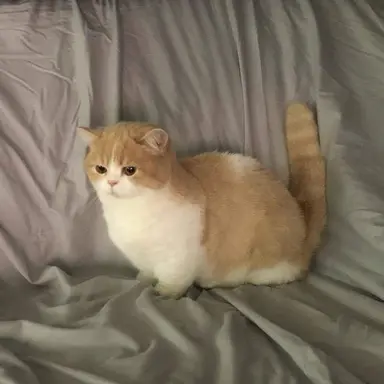 Profile image of 호쿠토