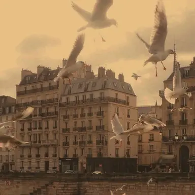 Profile image of 박민성