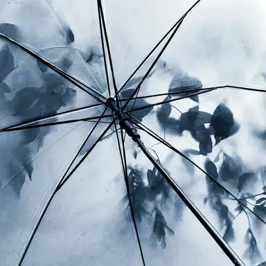 Profile image of 은하제