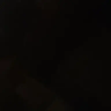 Profile image of 이이현