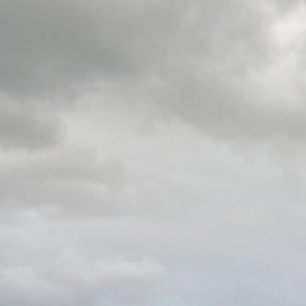 NewCoat5563의 藤井風