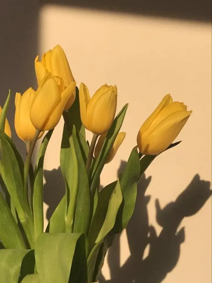 yeoni_3_2_1_24의 같이 동거하는 그