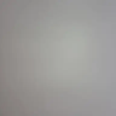 Profile image of 성한빈