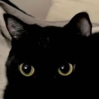 Profile image of 미르