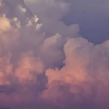 Profile image of 김각별