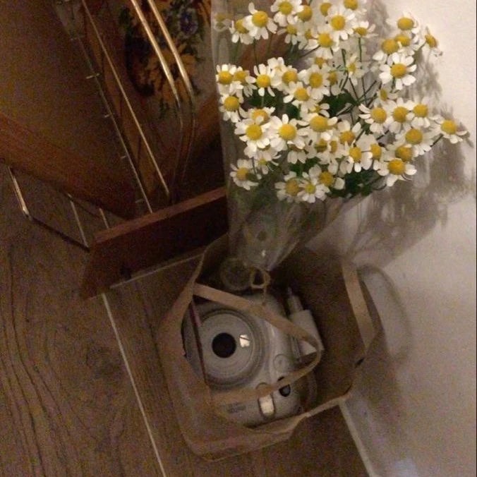 김동현