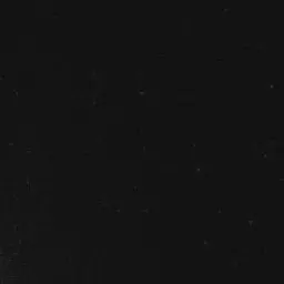 Profile image of 大森元貴