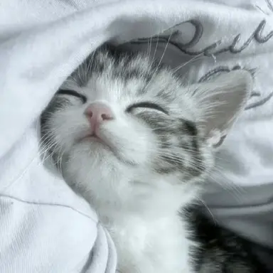 Profile image of 原