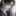 권 우