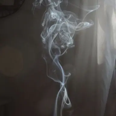 Profile image of Van