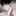 하지혁