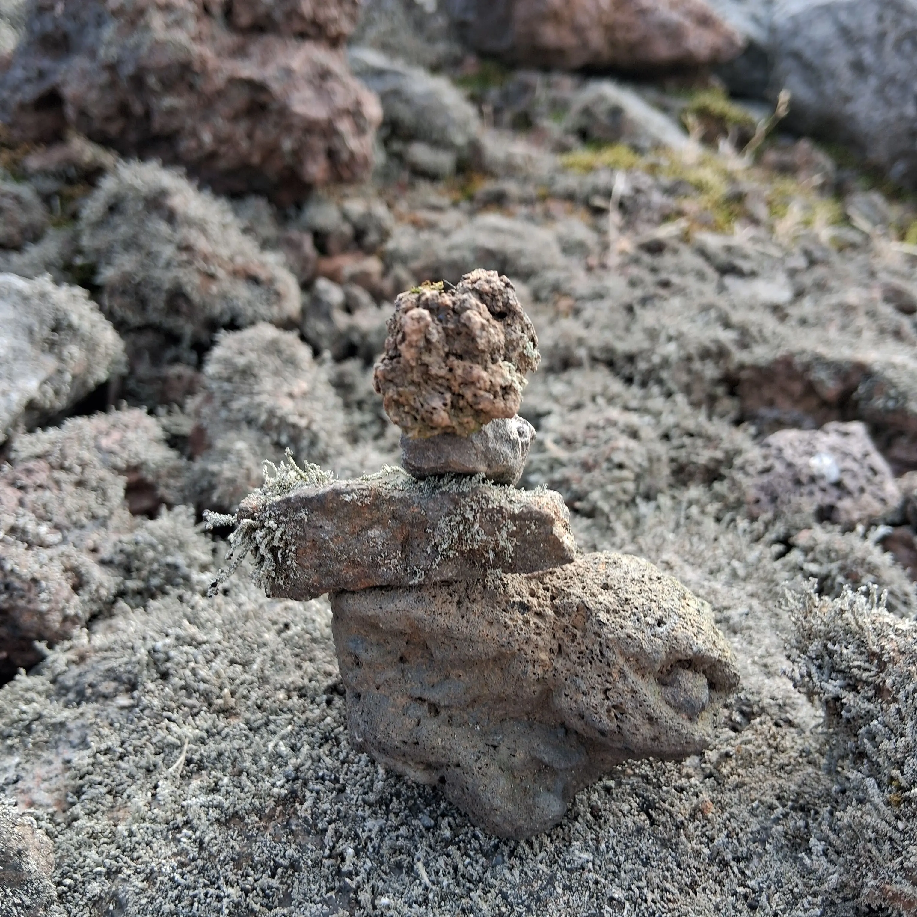 ehxhflpm6의 조직 au