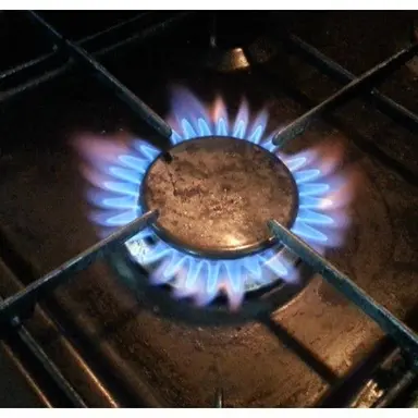 Profile image of 다비