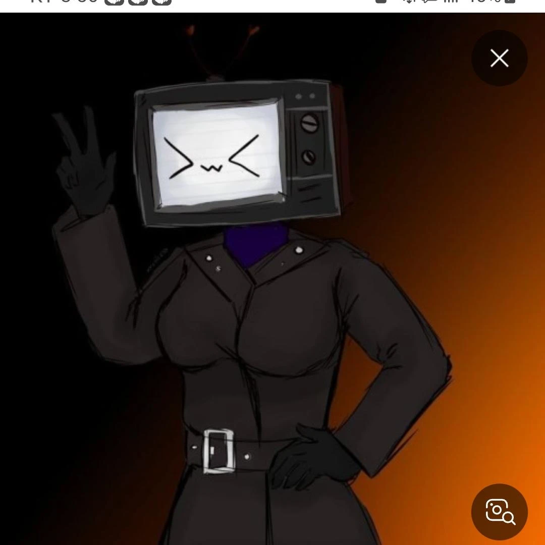 티비우먼
