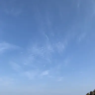 Profile image of 여우