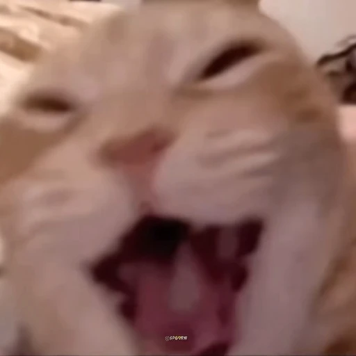 박신유