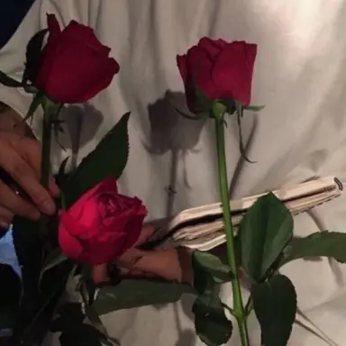 Profile image of 라더