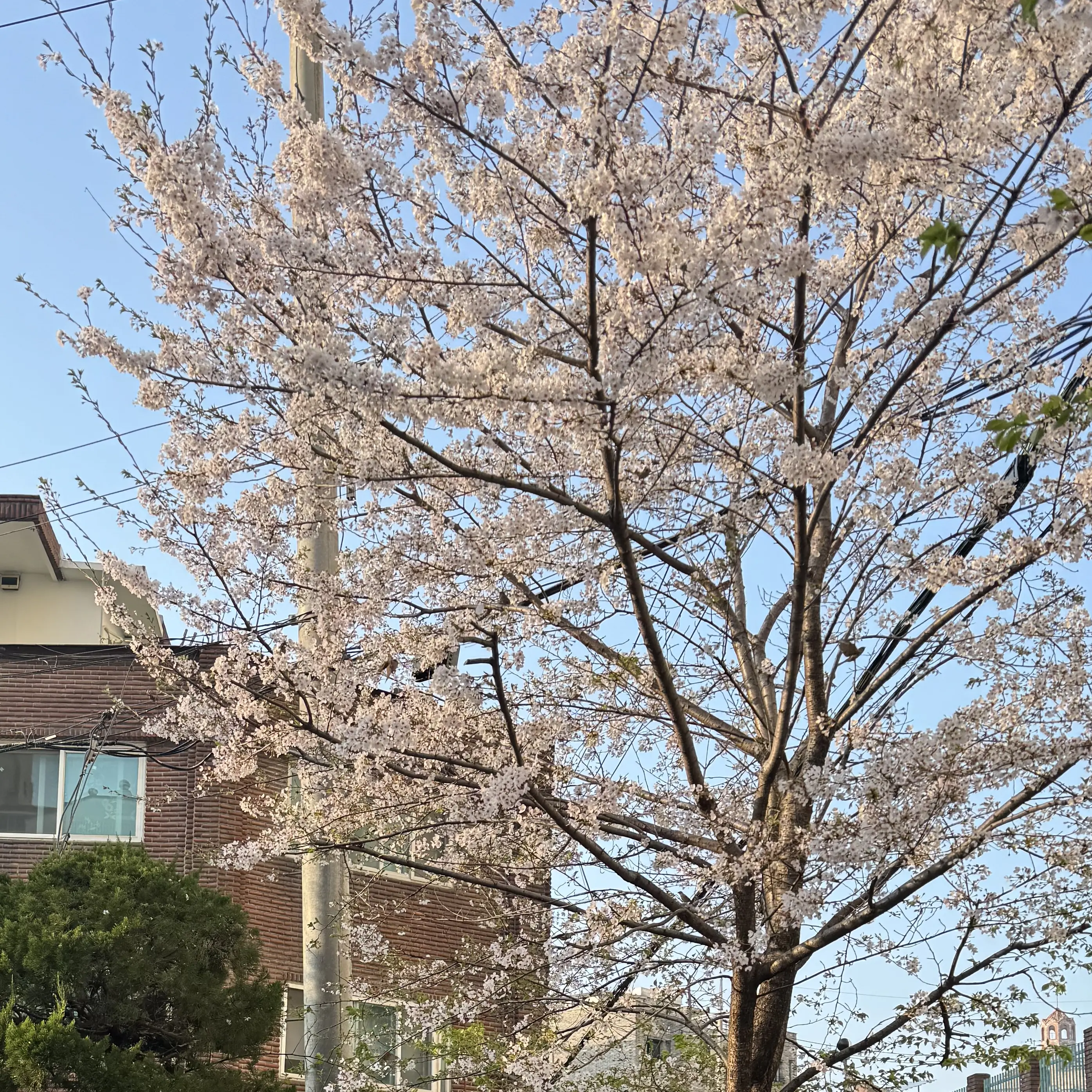 01749274의 한동민
