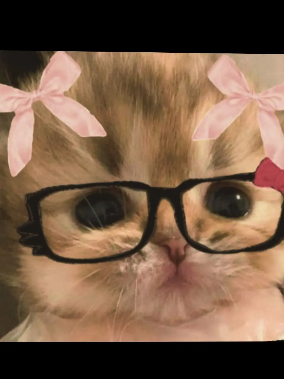 SpicyTrill2940의 외사랑