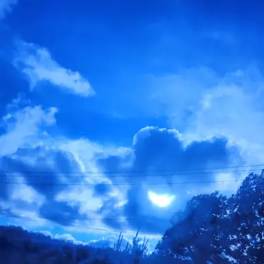 Profile image of 서라더