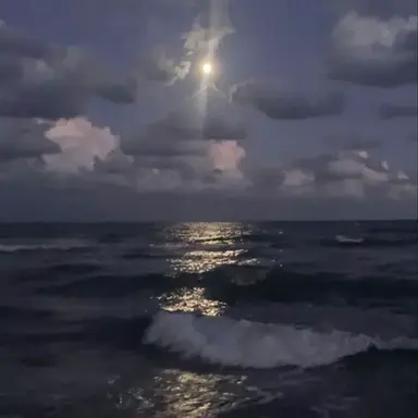 Profile image of ロヴィーノ