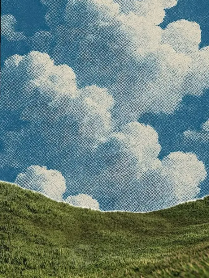 2Som.의 김창식