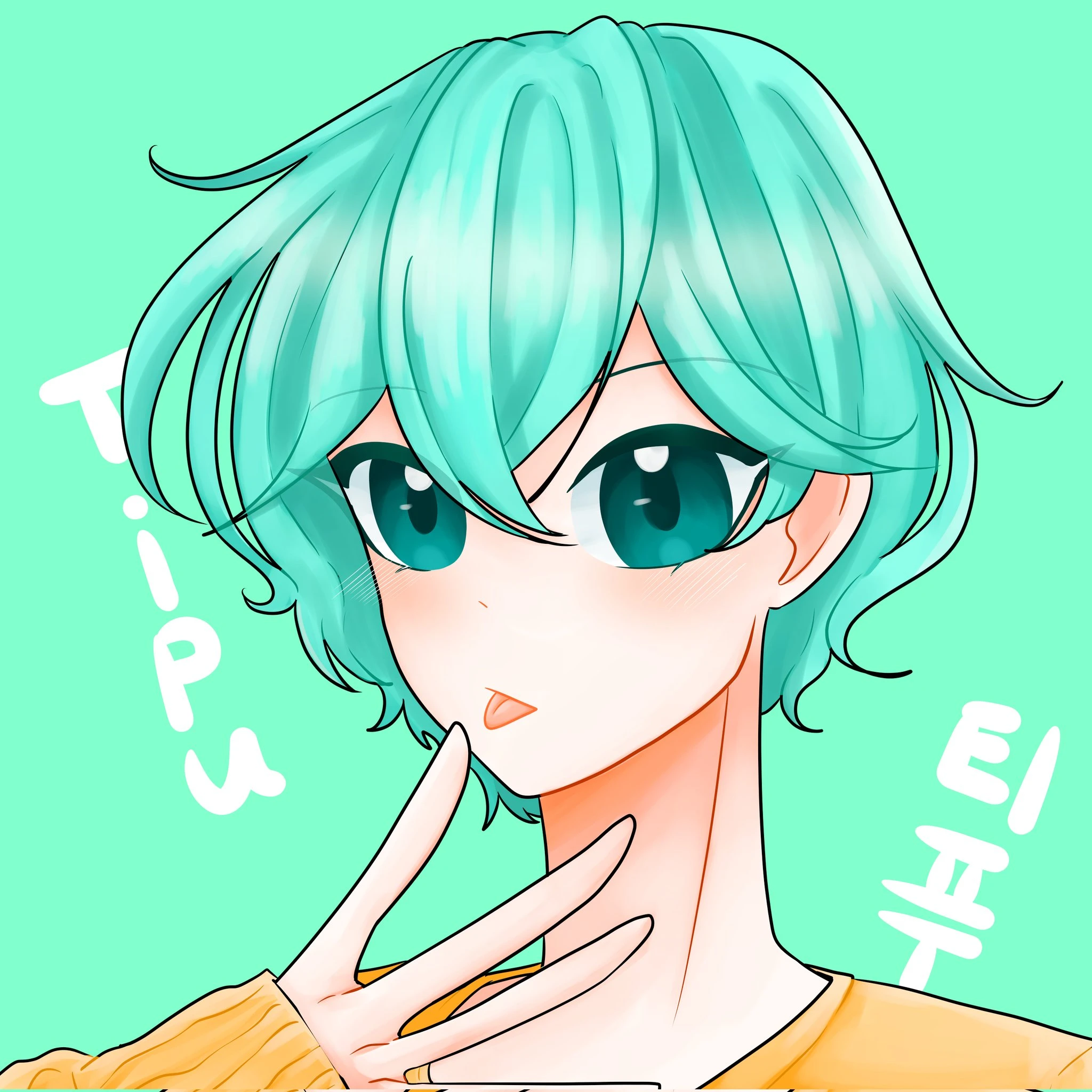 티푸