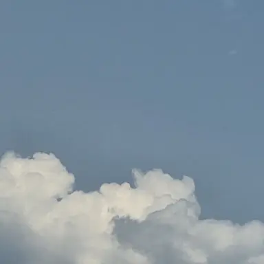 Profile image of 노리