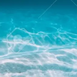PinkSea7555의 뜰팁소설