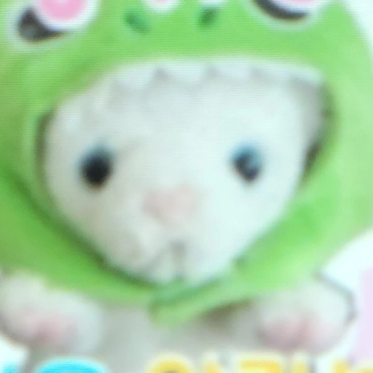 휘핑이