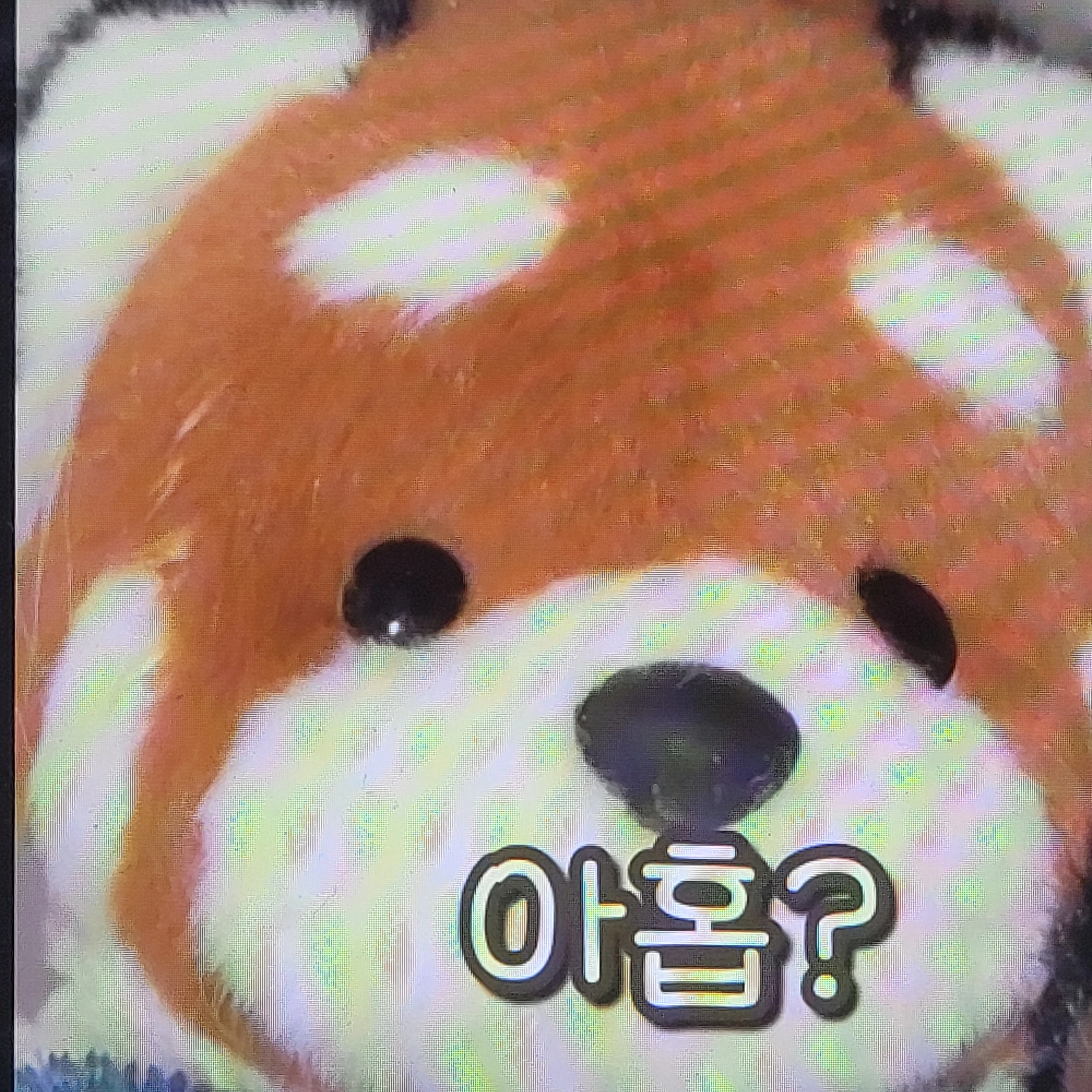 레핑